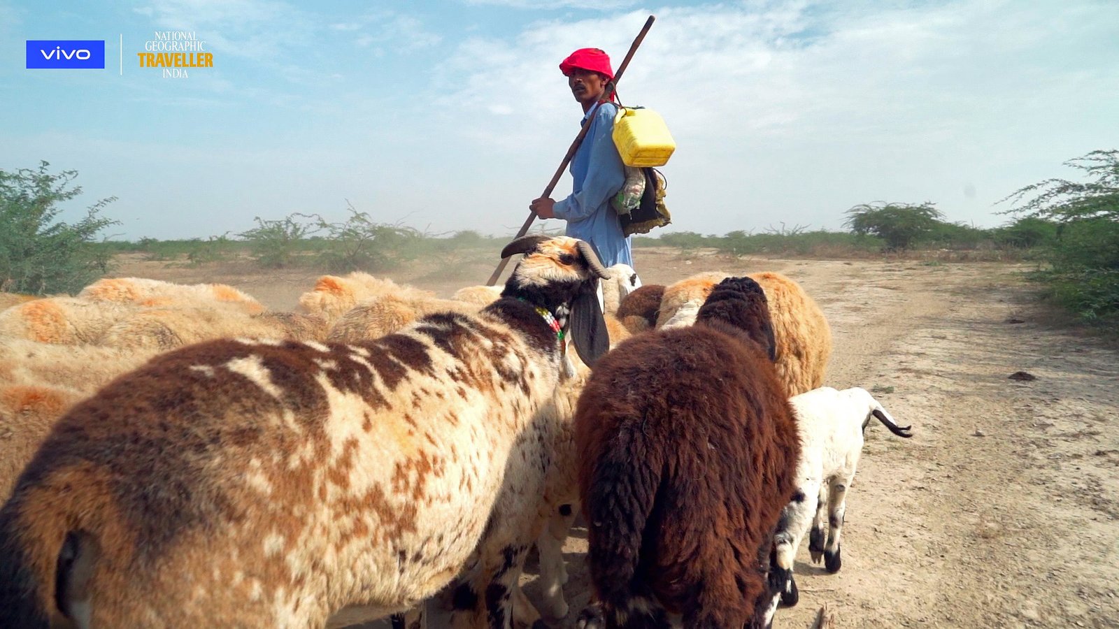Rann of Kutch with Vivo V17 for National Geographic Traveller and Vivo