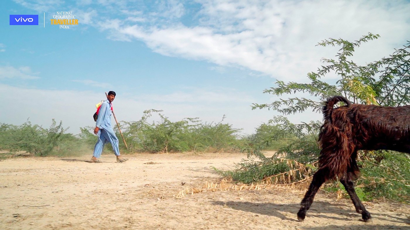 Rann of Kutch with Vivo V17 for National Geographic Traveller and Vivo